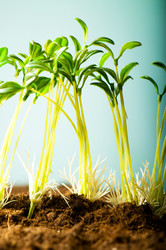 Similar image 320846