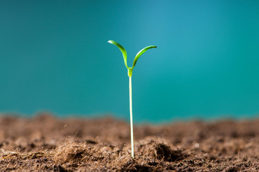 Similar image 320848