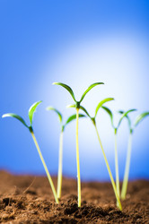 Similar image 320849