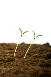 Similar image 320852