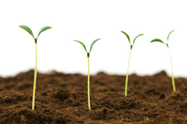 Similar image 320854