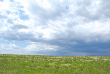 Similar image 320855