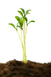 Similar image 320856