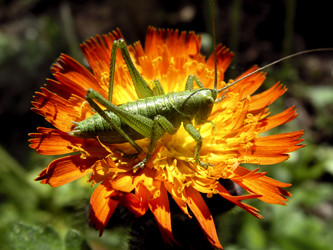 Similar image 320868