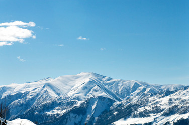 Similar image 320871