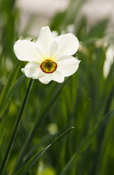 Similar image 320873