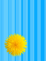 Similar image 320876