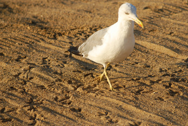 Similar image 320877