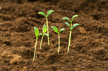 Similar image 320883