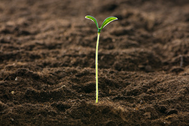 Similar image 320884