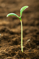 Similar image 320885