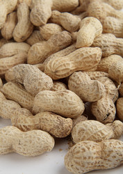 Similar image 321006