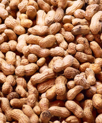 Similar image 321007