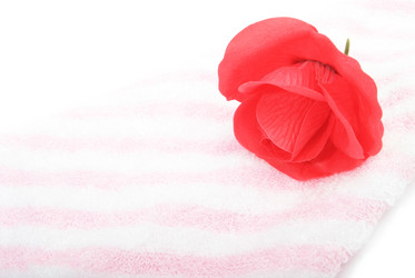 Similar image 321046