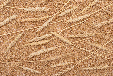 Similar image 321075