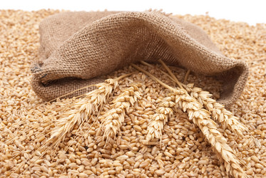 Similar image 321076