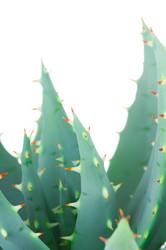 Similar image 321096