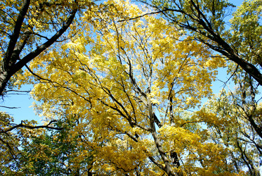 Similar image 321124