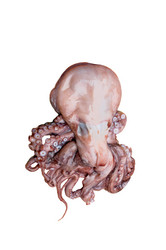 Similar image 321126