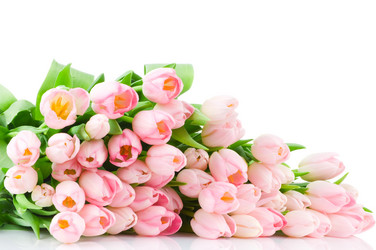 Similar image 321141