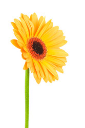 Similar image 321147