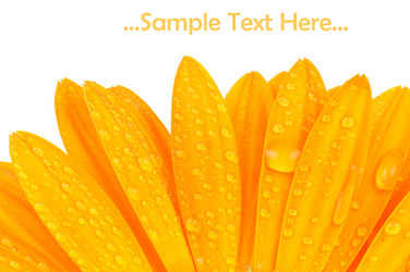 Similar image 321148