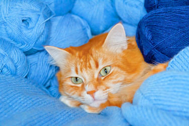 Similar image 321151