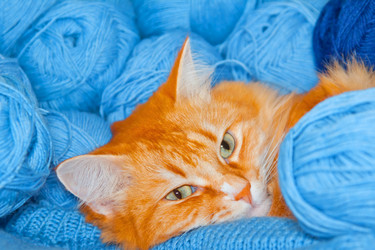 Similar image 321152