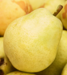 Similar image 321170