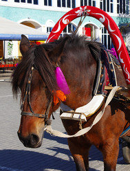 Similar image 321175