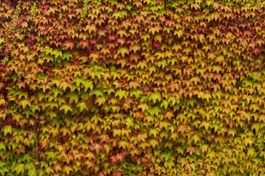 Similar image 321195