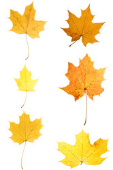 Similar image 321280