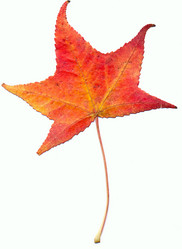 Similar image 321281