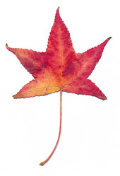 Similar image 321282