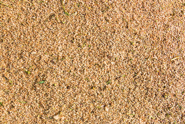 Similar image 321298