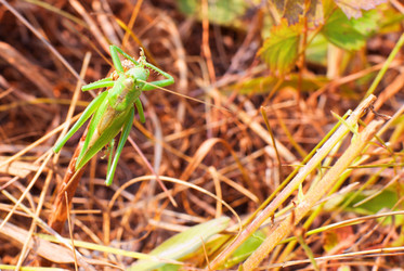 Similar image 321300