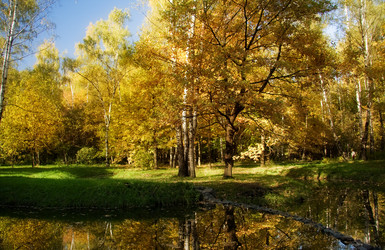 Similar image 321334