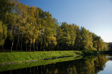 Similar image 321335