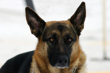 Similar image 321347