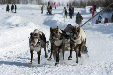 Similar image 321361