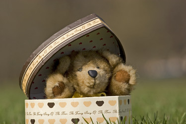 Similar image 321369