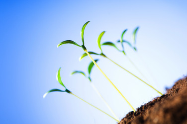 Similar image 321402