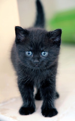 Similar image 321406