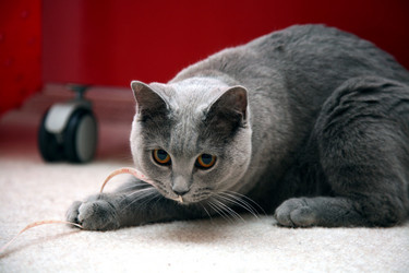 Similar image 321408