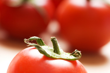 Similar image 321453