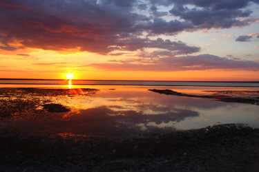 Similar image 321478