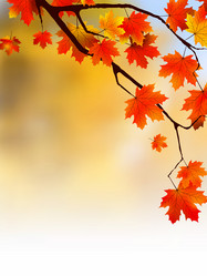 Similar image 321542