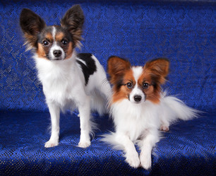 Similar image 321596