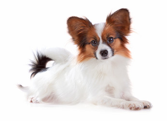 Similar image 321599