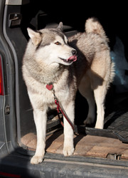 Similar image 321604